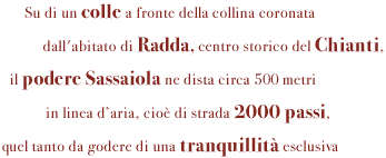Su di un colle a fronte della collina coronata dall'abitato di Radda, centro storico del Chianti, il podere Sassaiola ne dista circa 500 metri in linea d’aria, cioè di strada 2000 passi, quel tanto da godere di una tranquillità esclusiva